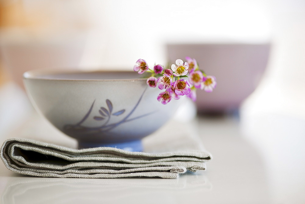 Tropical flowers in bowl