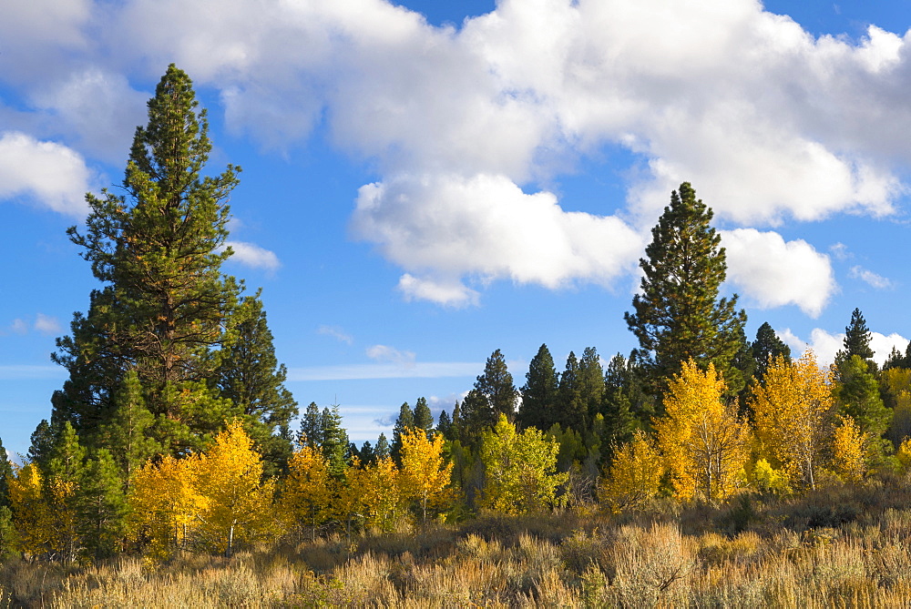 Landscape in Warner Mountains, USA, Oregon