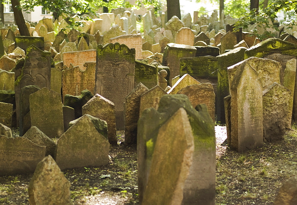 Gravestones in cemetery