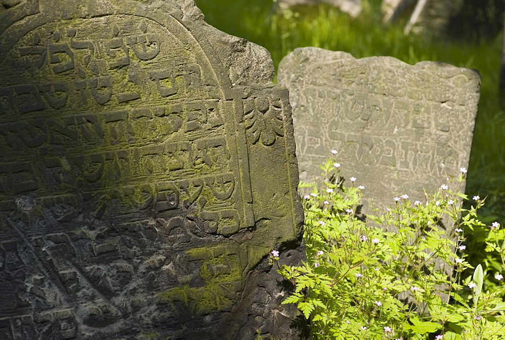 Gravestones in cemetery