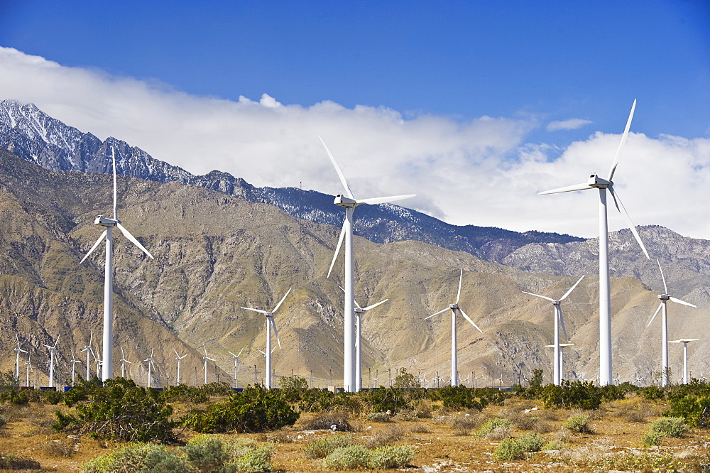 Wind farm in front of mountains, Palm Springs, California, United States