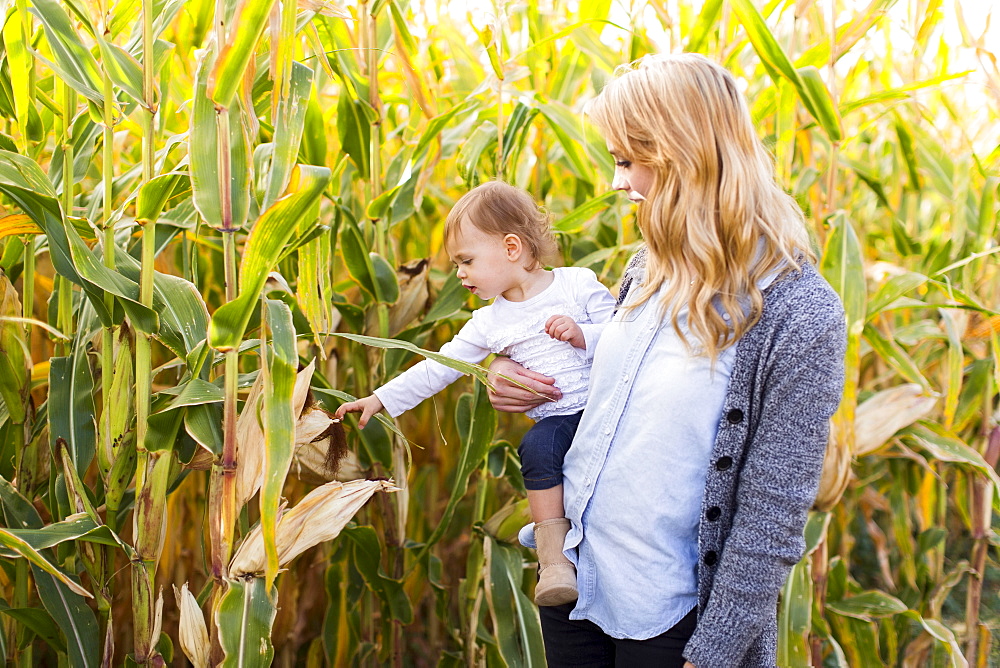 Mother and daughter (12-17 months) in corn field, Salt Lake City, Utah