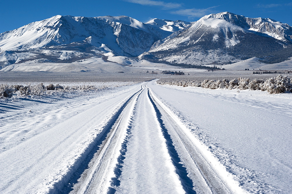 Tyre track on snow, Eastern Sierra California