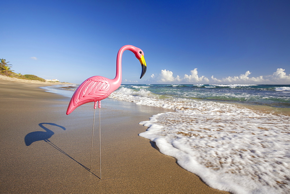 Plastic Flamingo, Isabel Beach, Puerto Rico, 