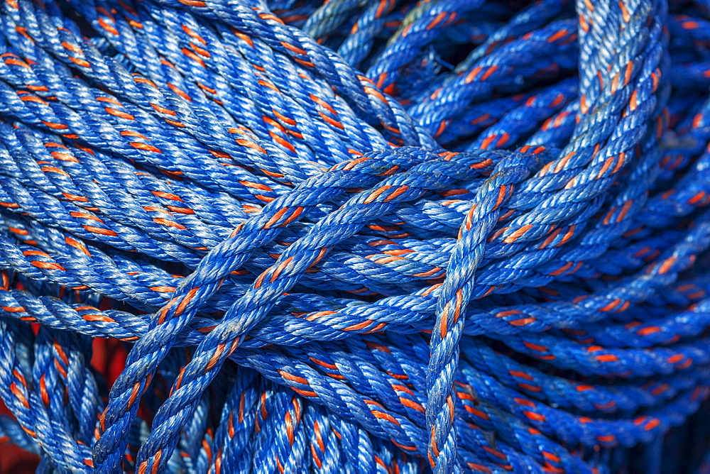 A bundle of blue nylon rope, Charleston Marina, OR