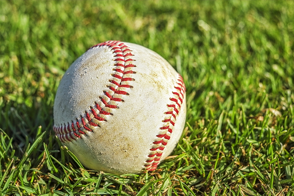 Baseball on grass