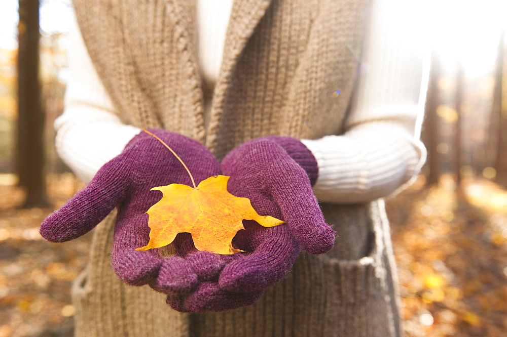 USA, New Jersey, Woman holding leaves in Autumn forest, mid section