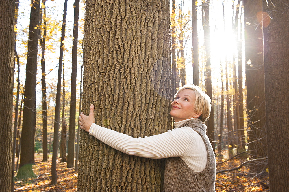 USA, New Jersey, Smiling woman hugging tree in Autumn forest