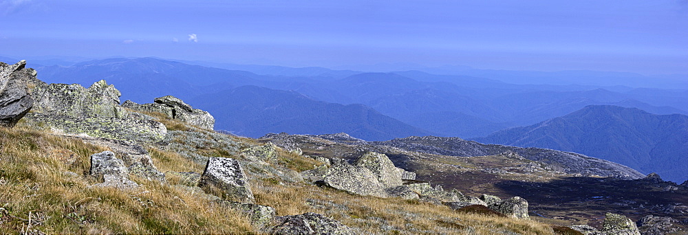 View over park from highest peak, Australia, New South Wales