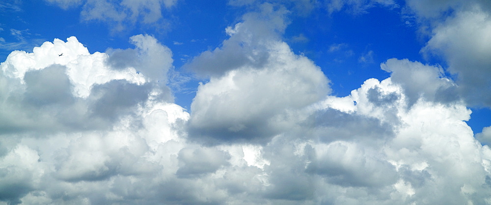 Puffy white clouds against a blue sky