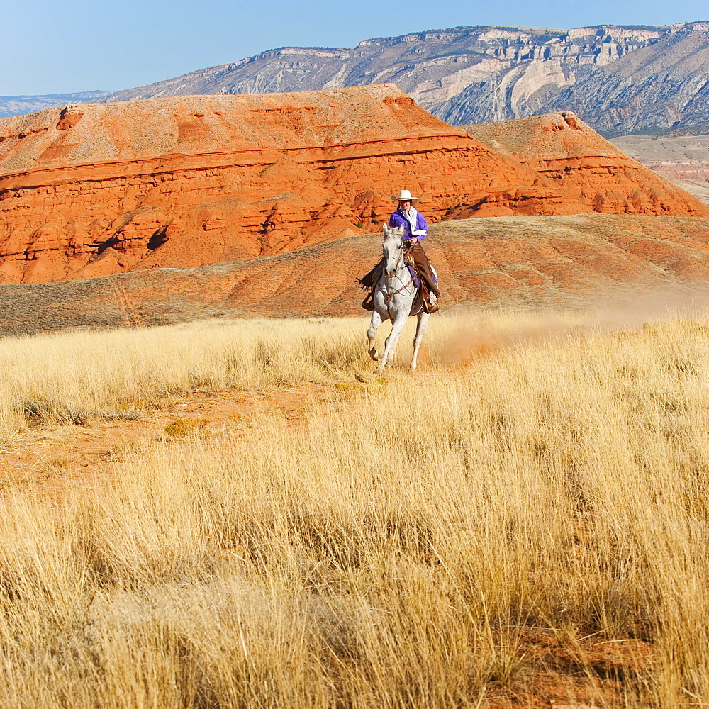 Horseback rider