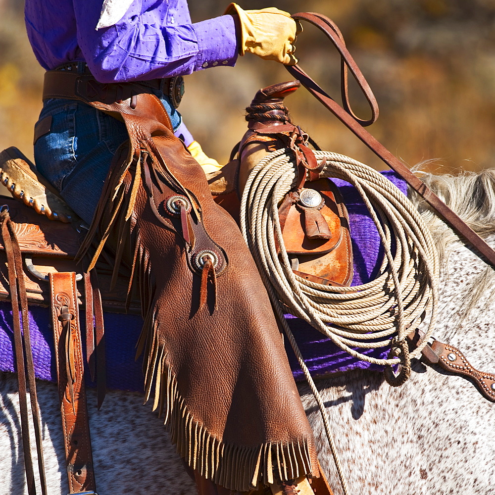 Cowgirl