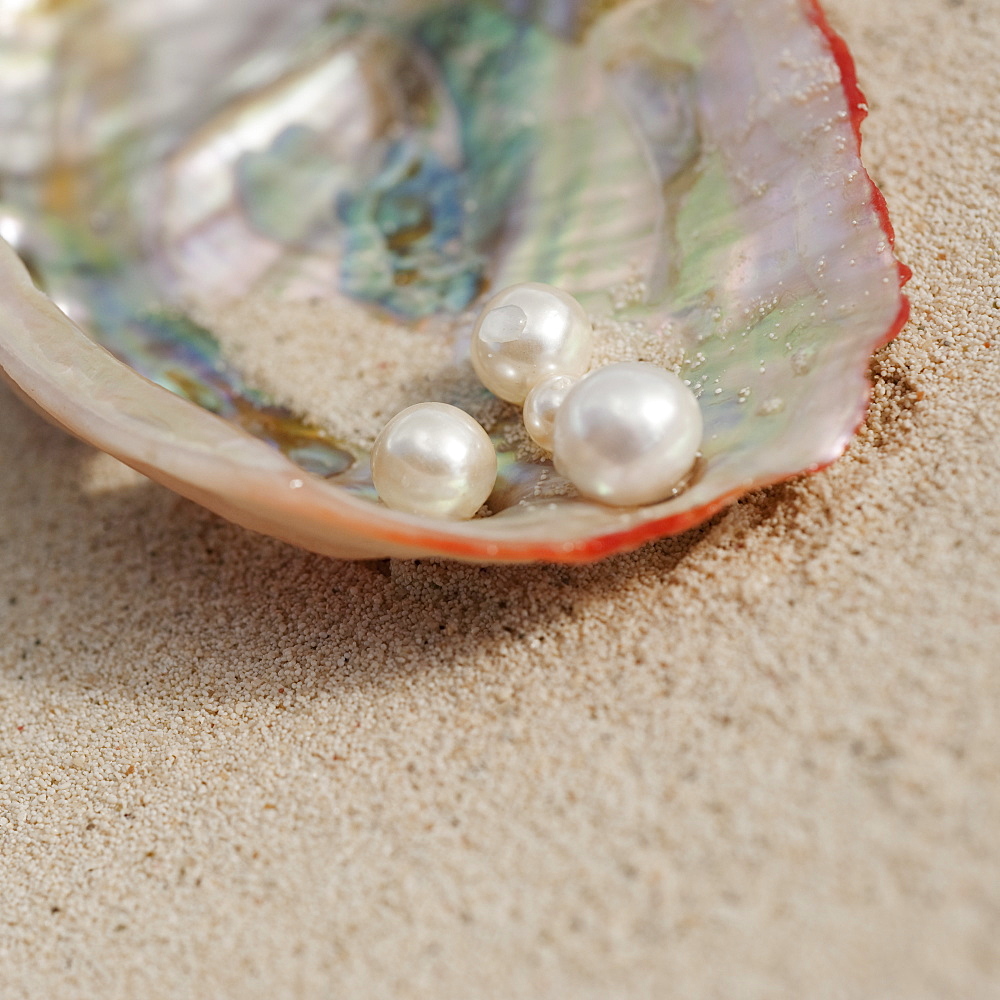 Close up of pearls in oyster shell