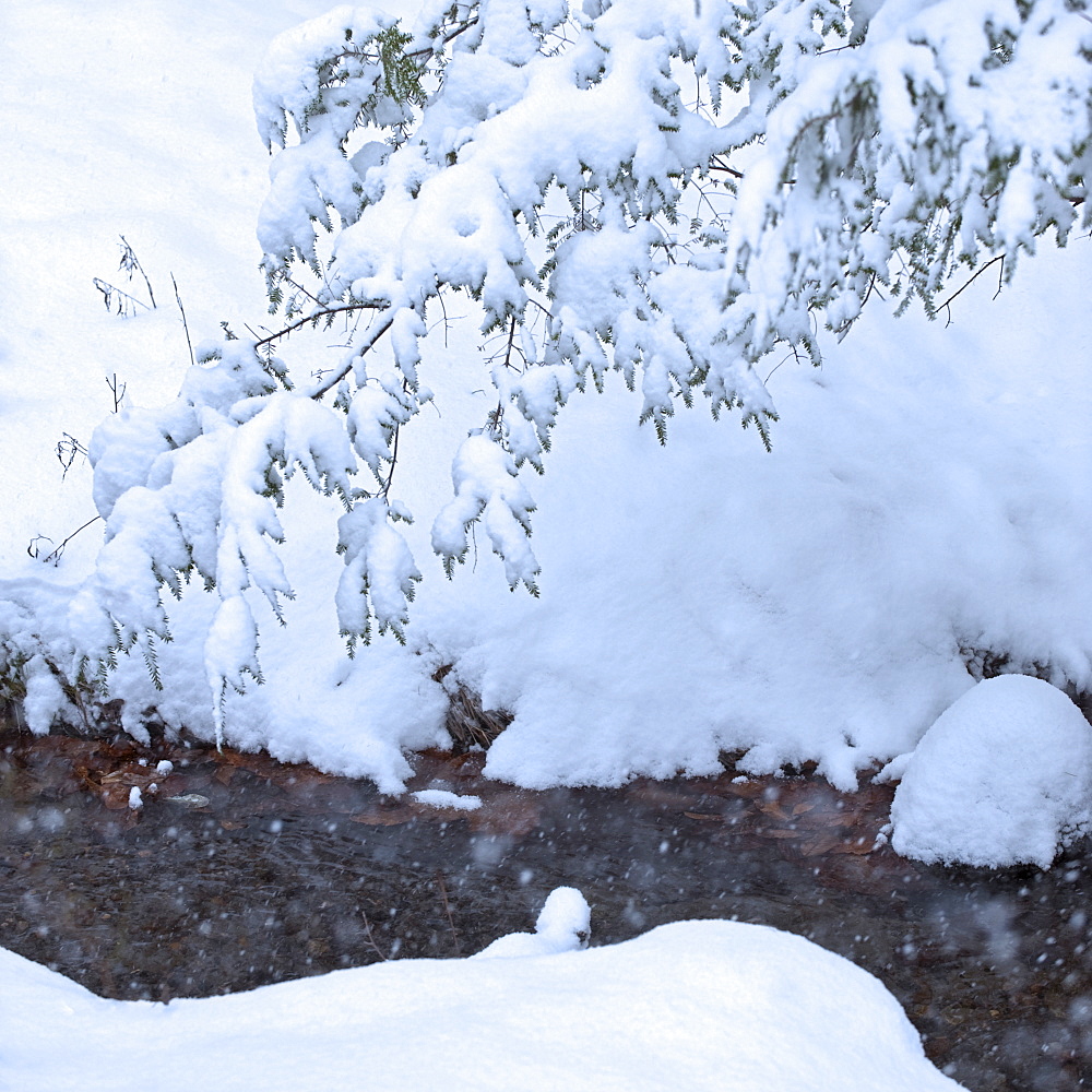 Snowy stream in winter