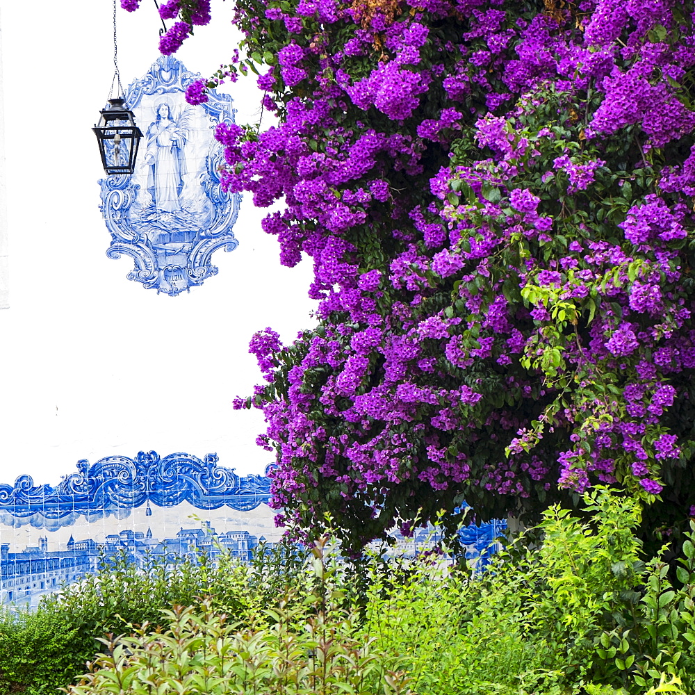 Purple flowers in front of tiled Santa Luzia Church facade, Lisbon, Portugal