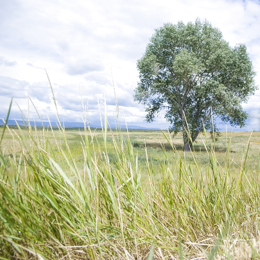 Scene from Route 62 Colorado USA