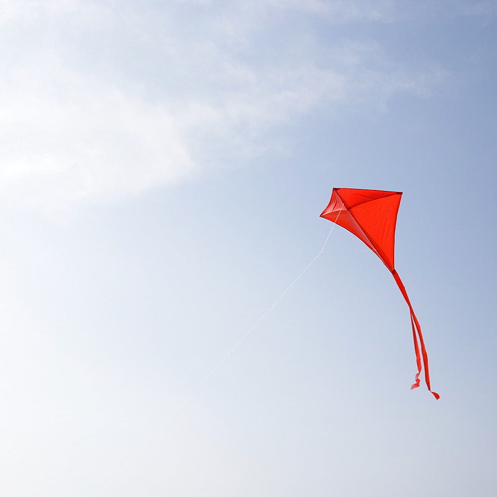 Kite flying in air