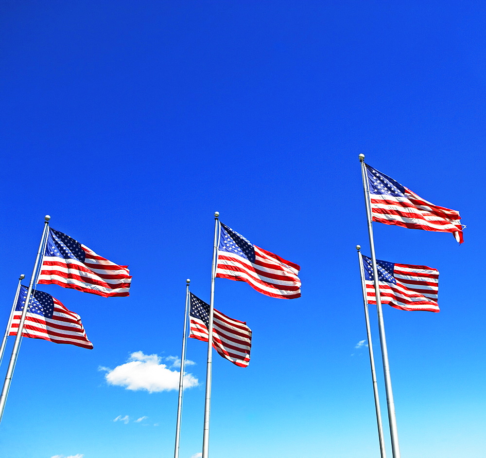 American flags