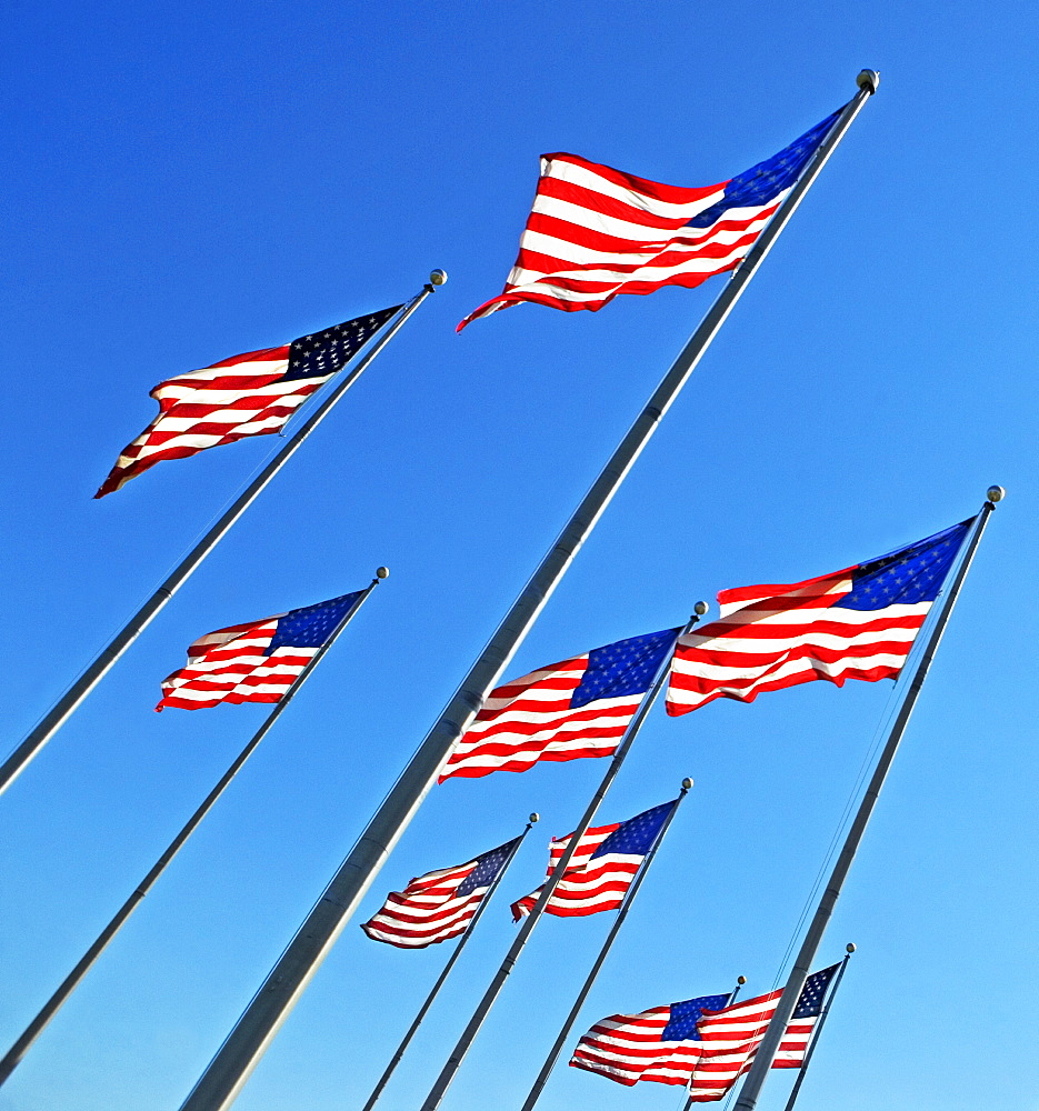 American flags