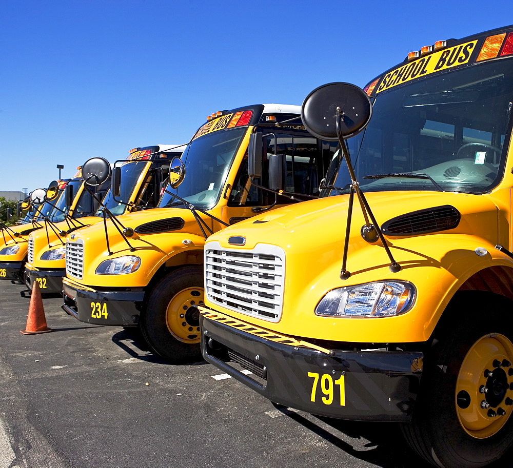 school buses in a row