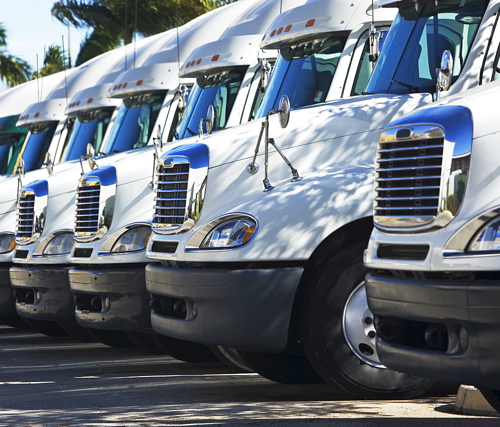 trucks in a row