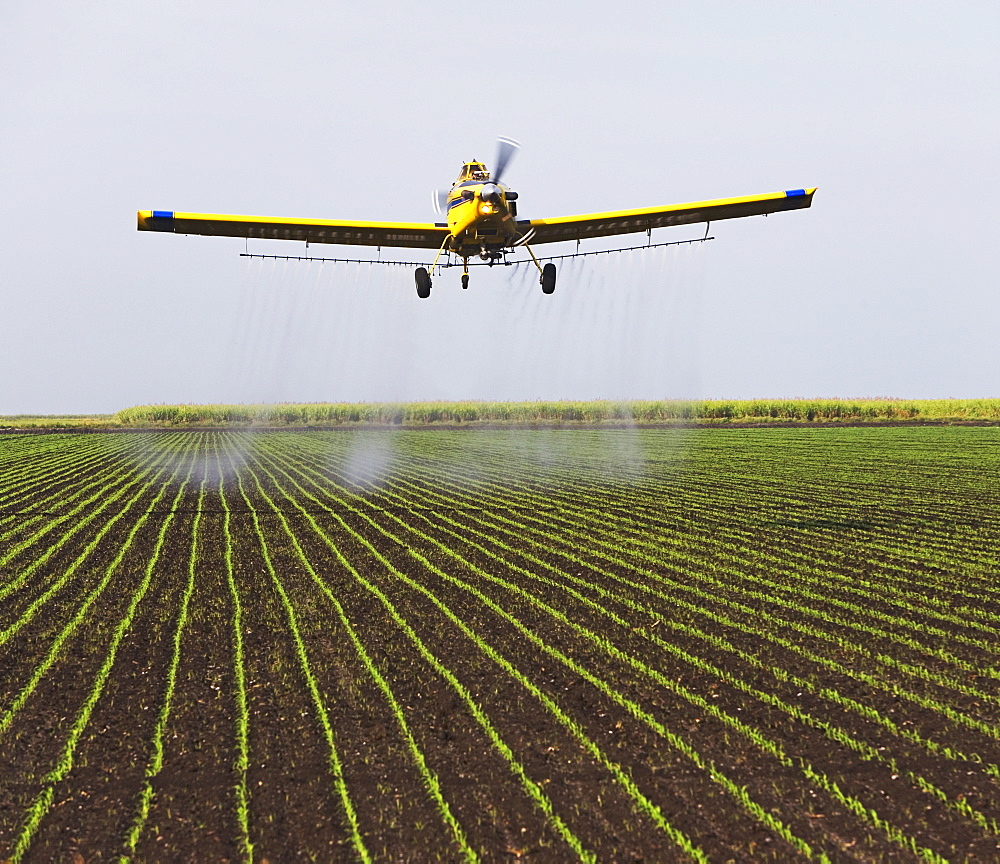 crop-duster plain over field