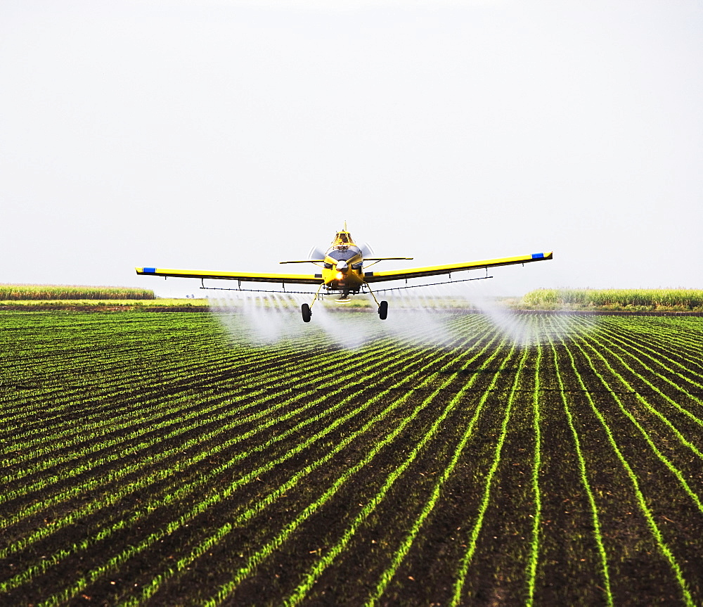 crop-duster plain over field