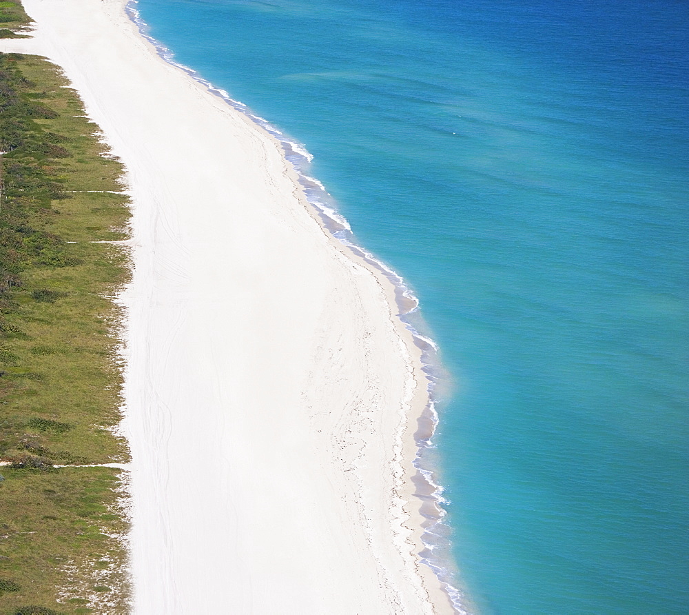 Aerial view of shoreline