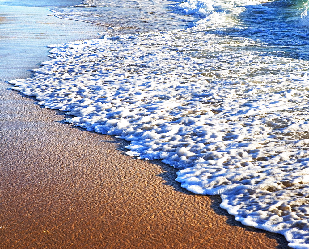 Ocean wave on shore