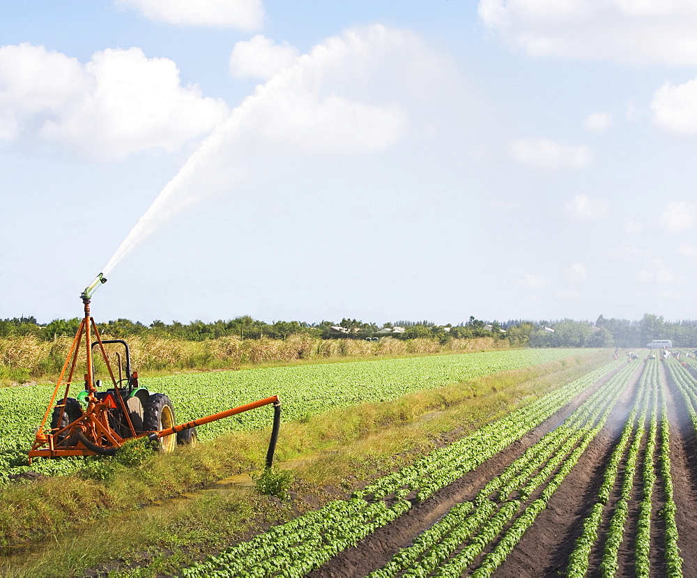 Tractor watering field, Florida, United States