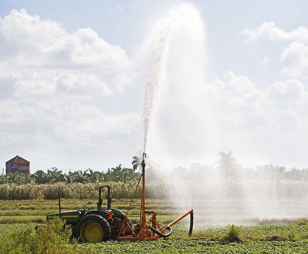 Tractor watering field, Florida, United States