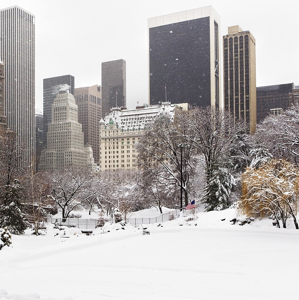 Central Park in winter