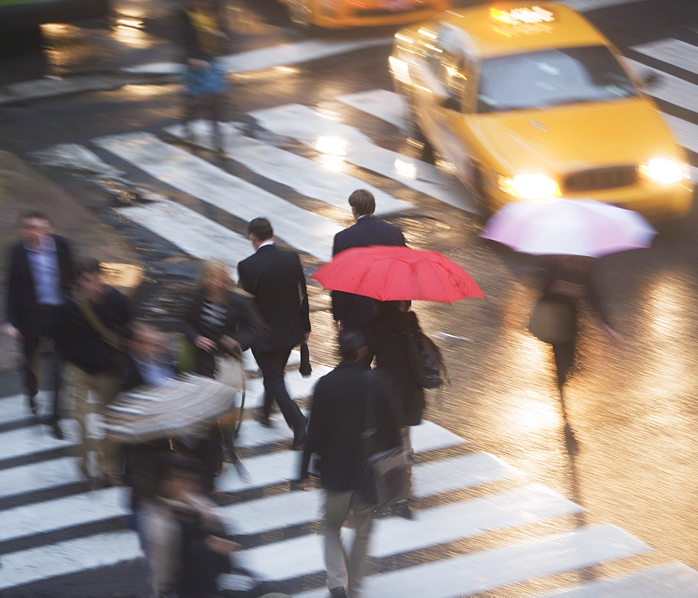 USA, New York state, New York city, pedestrians with umbrellas on zebra crossing 