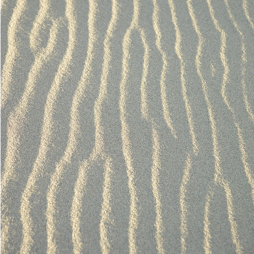 Patterns of wind-blown sand