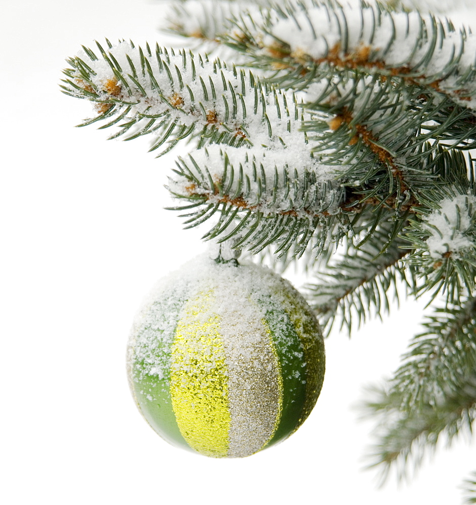 One Christmas ornament hanging in tree