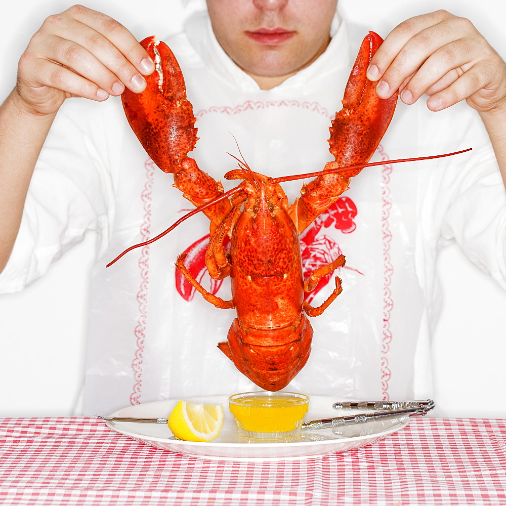 Man dining with an entire lobster