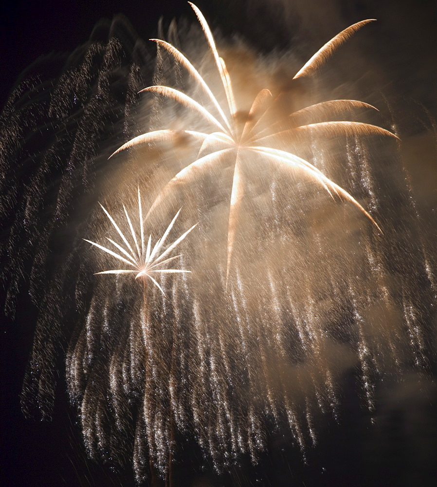 Fireworks in the night sky