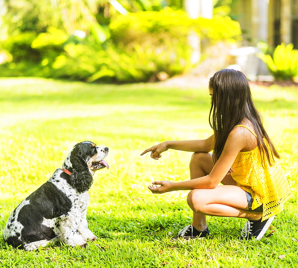 girl ( 8-9) teaching dog tricks