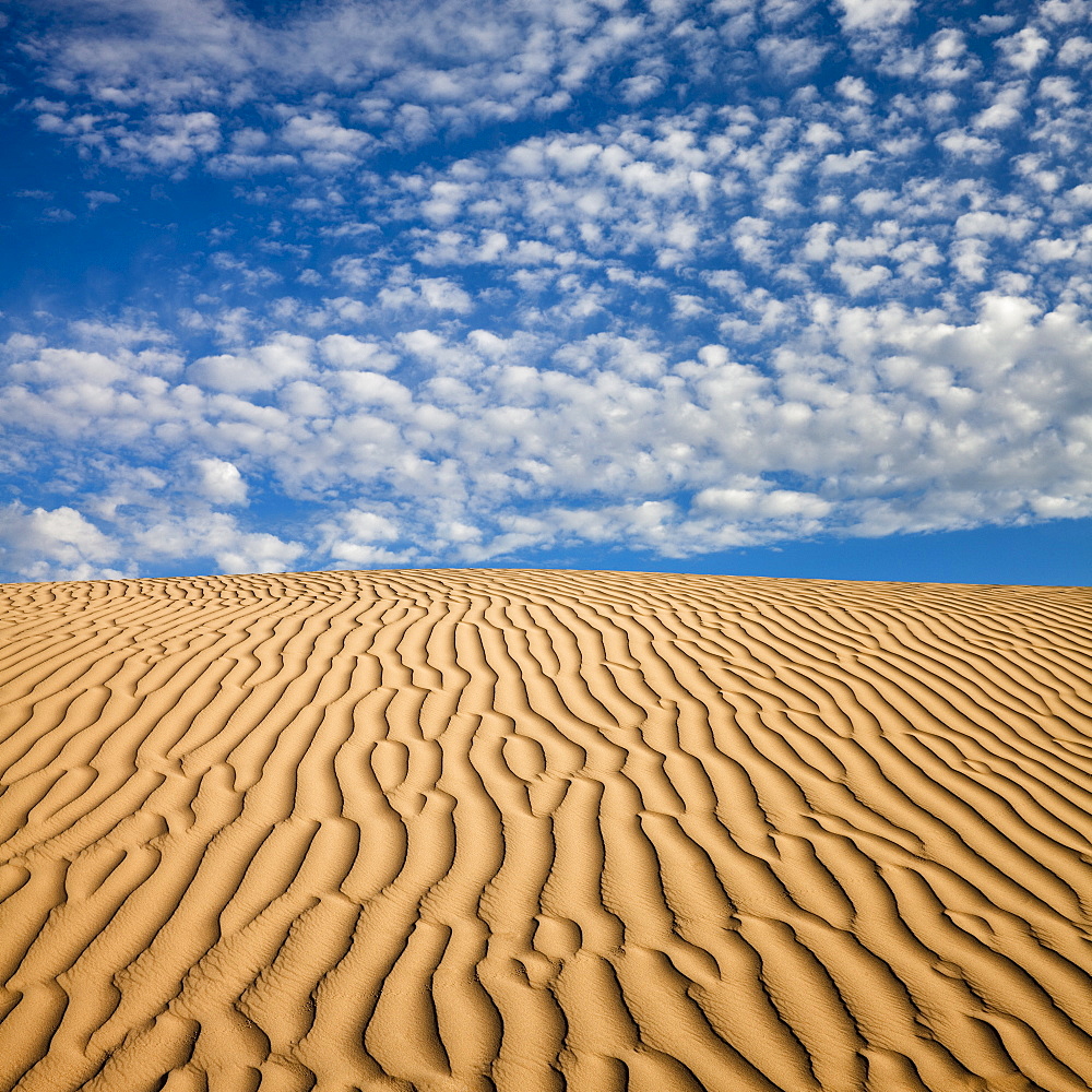 Wave pattern in desert sand