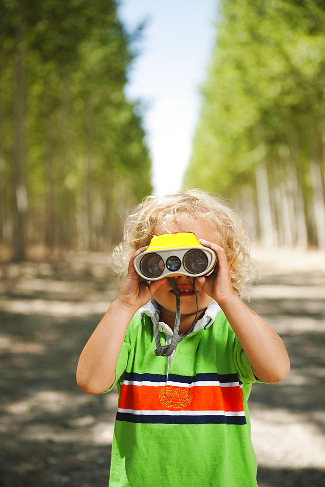 Boy (2-3) looking through binoculars in tree farm