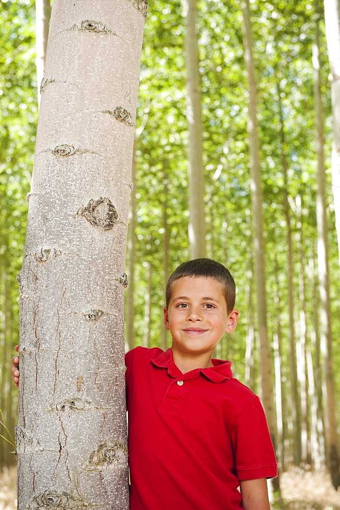 USA, Oregon, Boardman, Boy (8-9) standing between poplar trees in tree farm