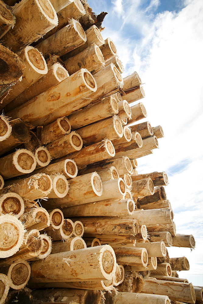 Stack of timber against sky