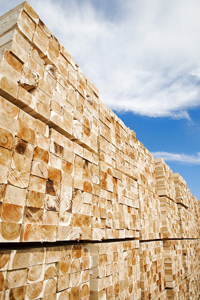 Orderly stack of timber