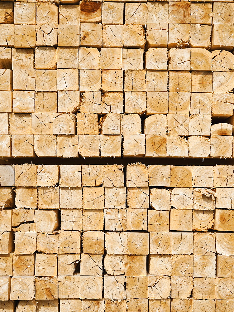 Full-frame shot of orderly timber stacks