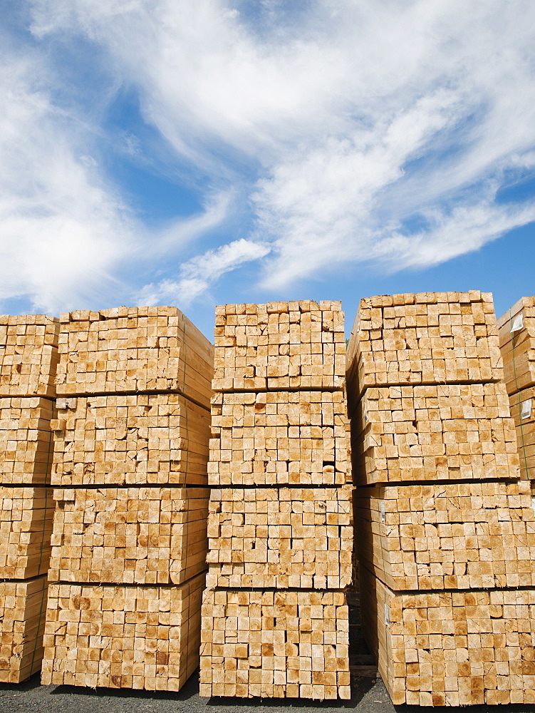 Orderly stacks of timber