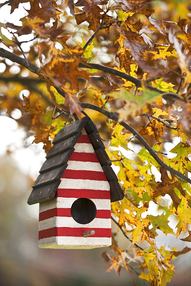 Birdhouse