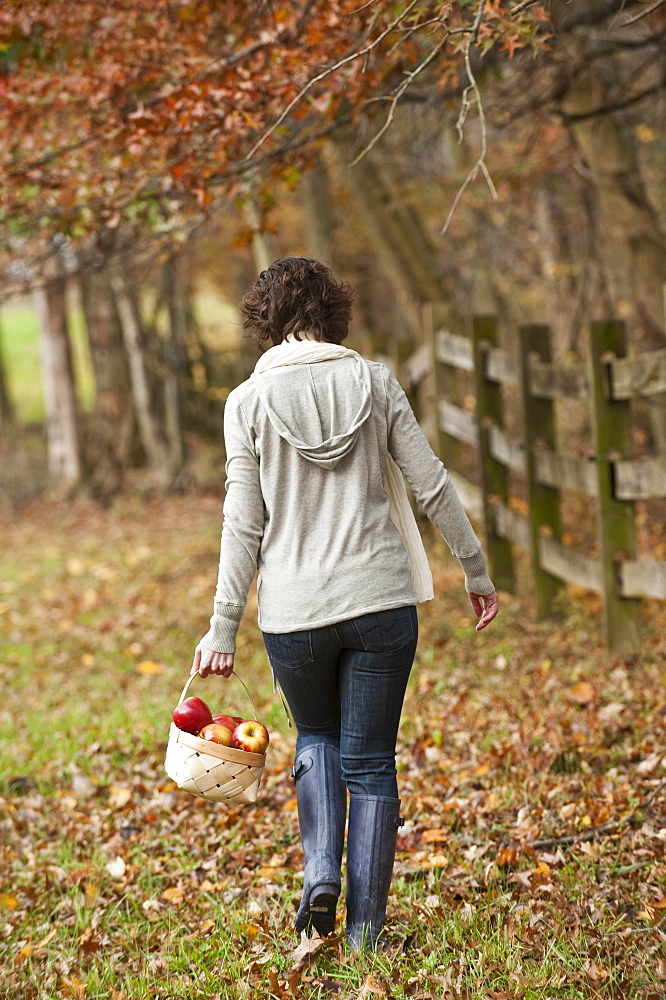 Woman walking with basket of apples