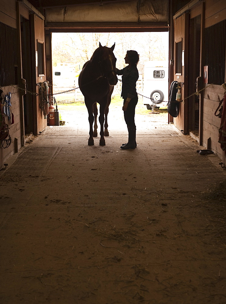 Woman grooming horse