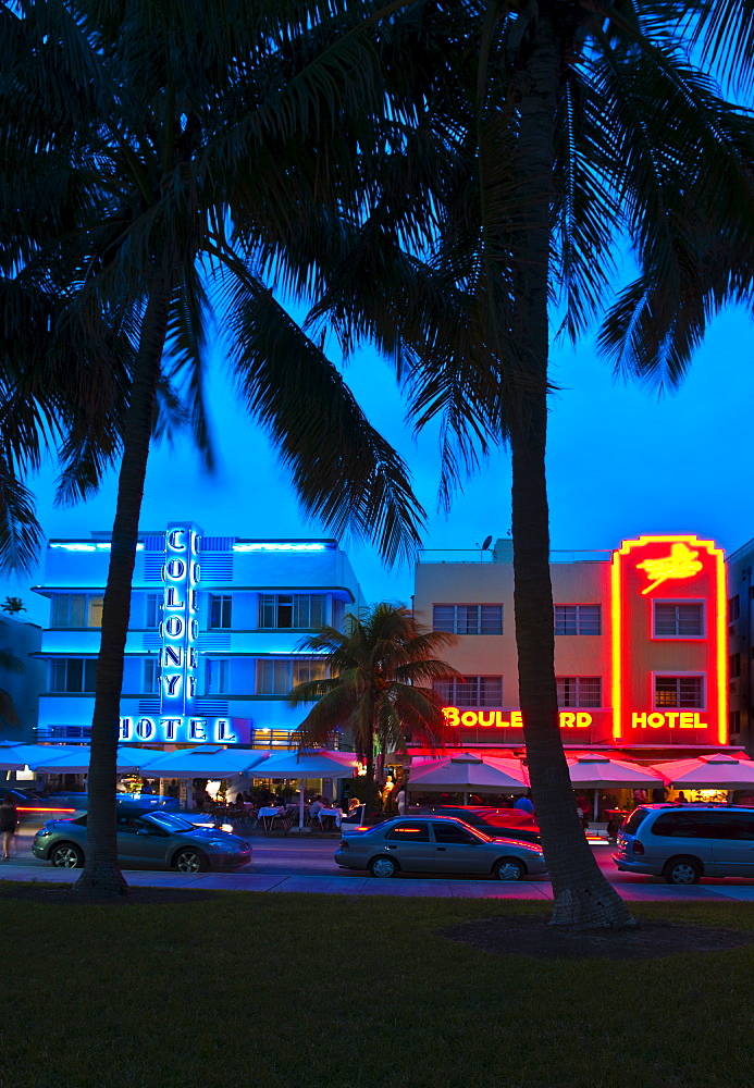 Palm trees and street at night