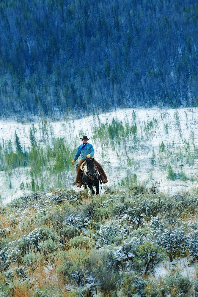 Horseback rider